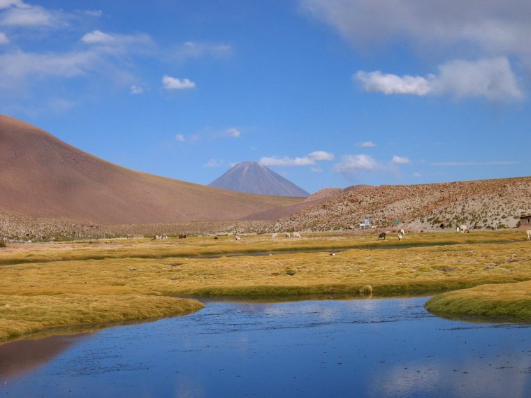 Altiplano bei Machuca