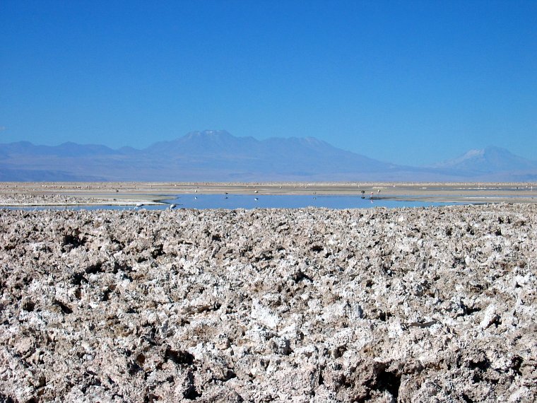 am Salzsee Salar de Atacama