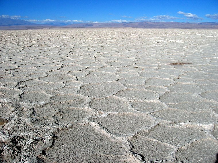 am Salar de Atacama