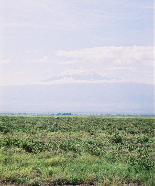 der Kilimanjaro