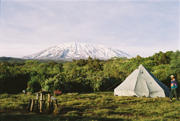 Kilimanjaro im Morgenlicht