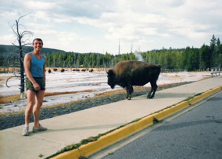 Norbert und ein Bison im Yellowstone Nationalpark